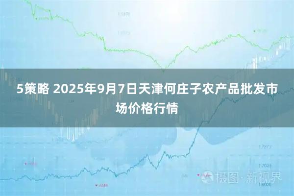 5策略 2025年9月7日天津何庄子农产品批发市场价格行情