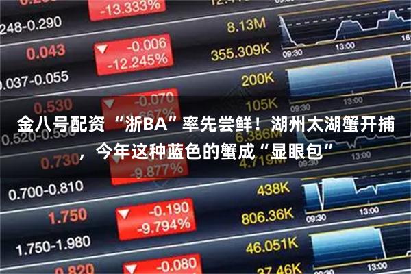 金八号配资 “浙BA”率先尝鲜！湖州太湖蟹开捕，今年这种蓝色的蟹成“显眼包”