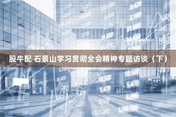 股牛配 石景山学习贯彻全会精神专题访谈（下）