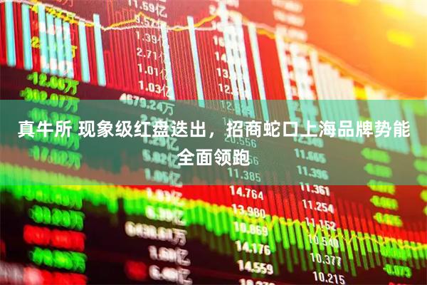 真牛所 现象级红盘迭出，招商蛇口上海品牌势能全面领跑